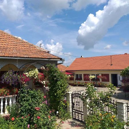 La Mosu-N Retezat Guest House Nucsoara  Bagian luar foto