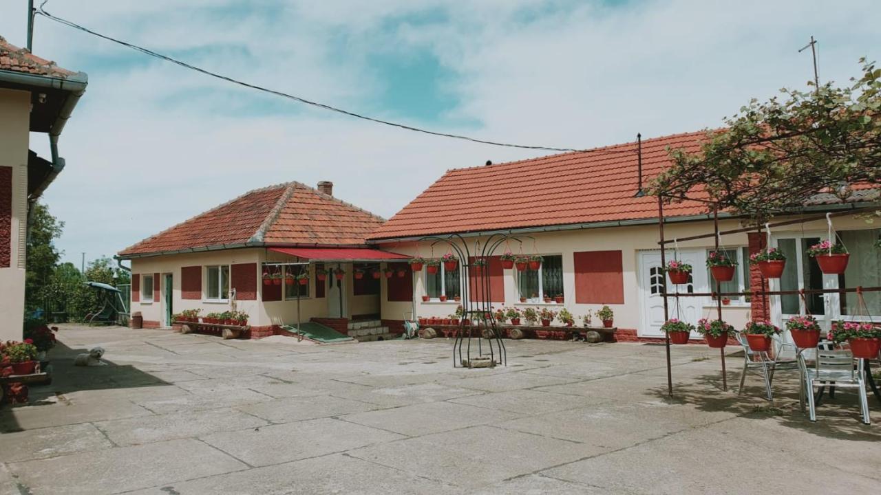 La Mosu-N Retezat Guest House Nucsoara  Bagian luar foto