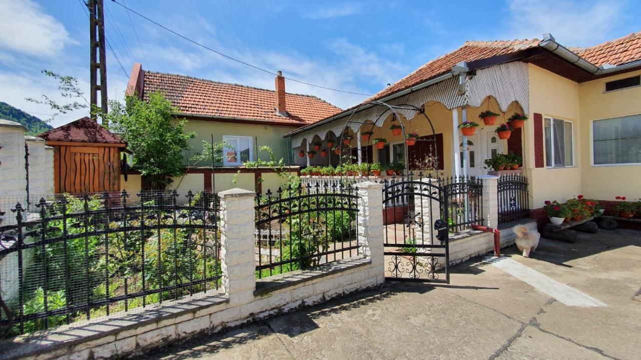 La Mosu-N Retezat Guest House Nucsoara  Bagian luar foto