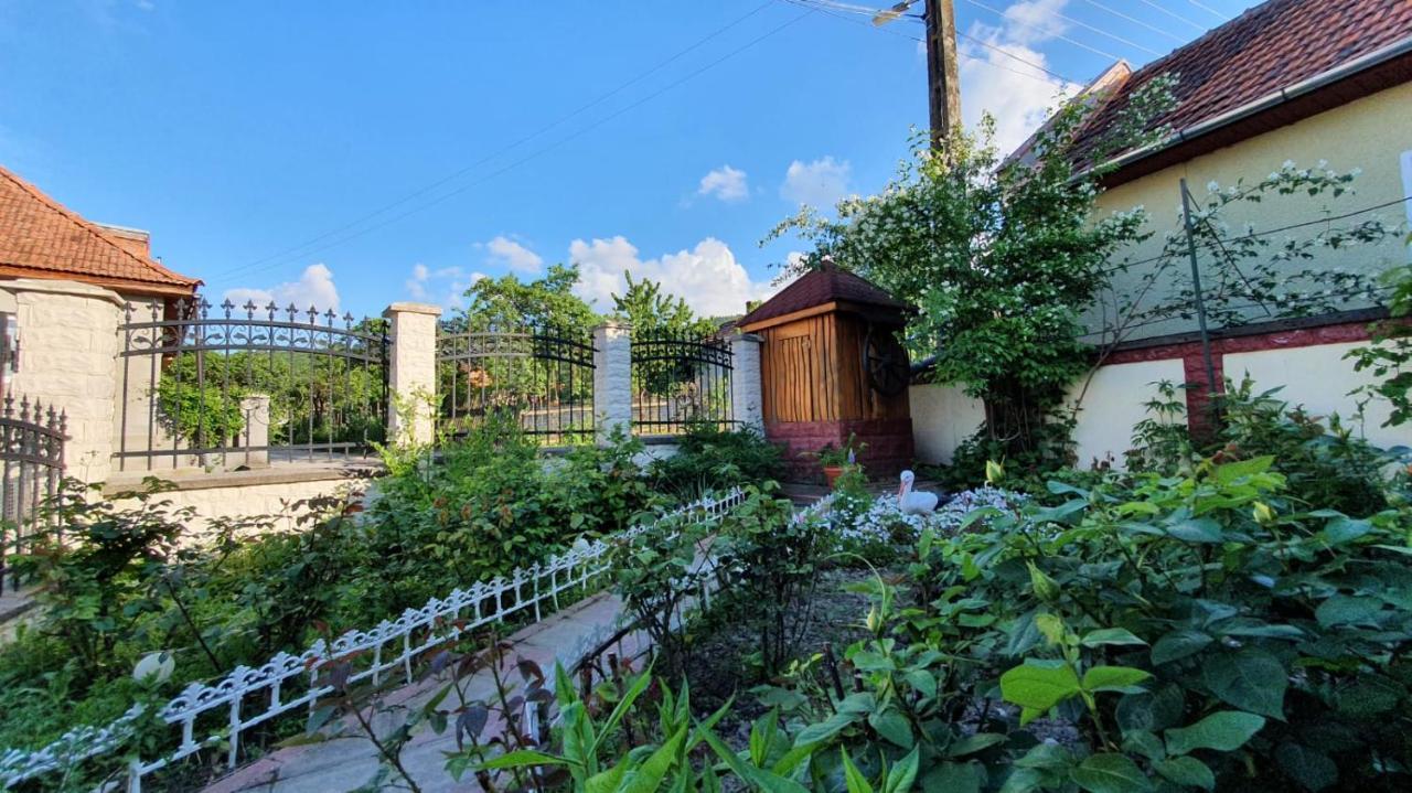 La Mosu-N Retezat Guest House Nucsoara  Bagian luar foto