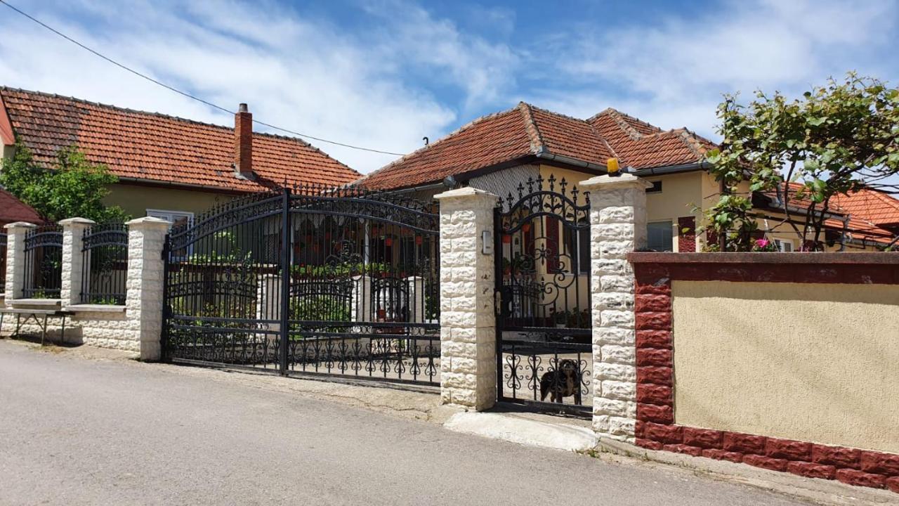 La Mosu-N Retezat Guest House Nucsoara  Bagian luar foto