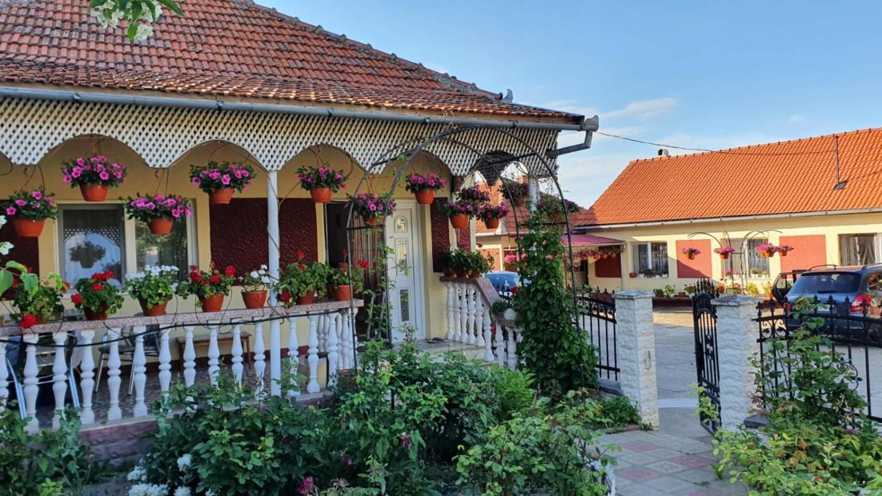La Mosu-N Retezat Guest House Nucsoara  Bagian luar foto