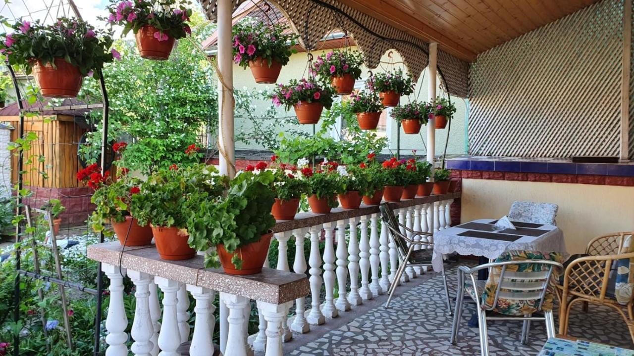 La Mosu-N Retezat Guest House Nucsoara  Bagian luar foto