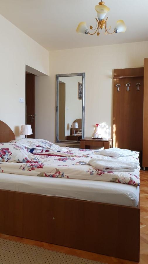 La Mosu-N Retezat Guest House Nucsoara  Bagian luar foto