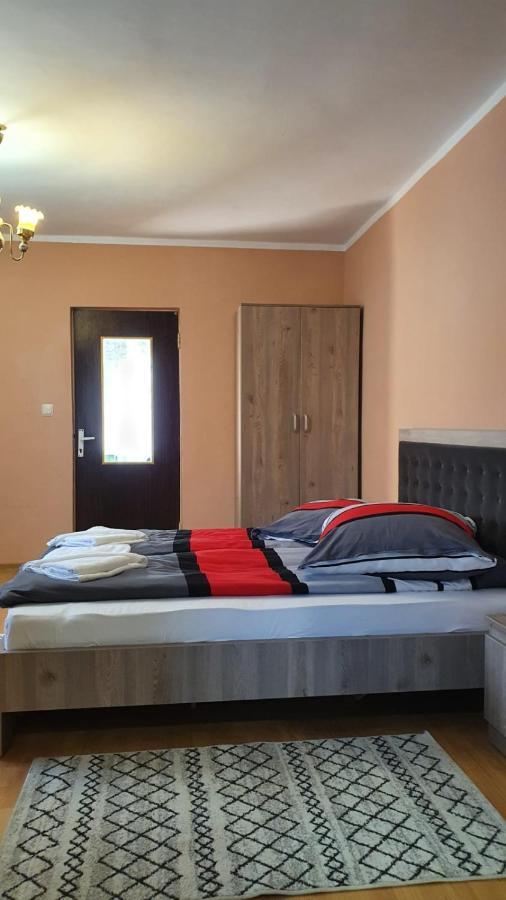 La Mosu-N Retezat Guest House Nucsoara  Bagian luar foto