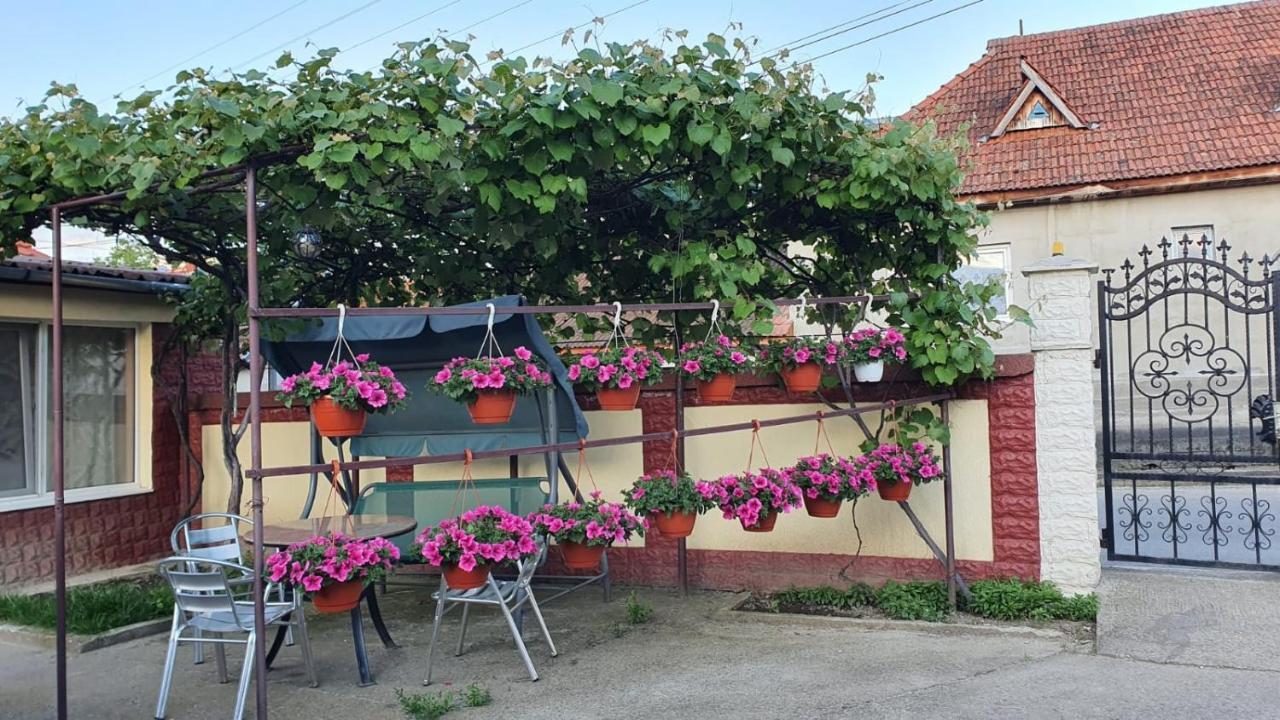 La Mosu-N Retezat Guest House Nucsoara  Bagian luar foto