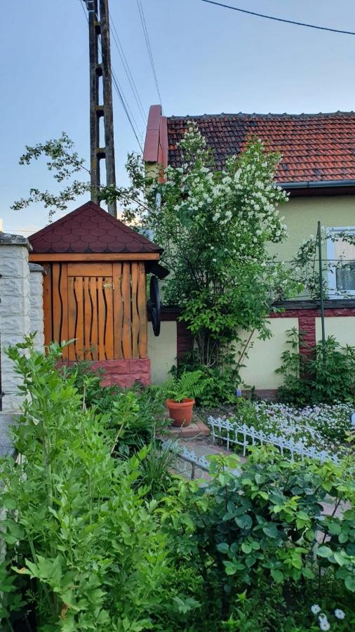 La Mosu-N Retezat Guest House Nucsoara  Bagian luar foto