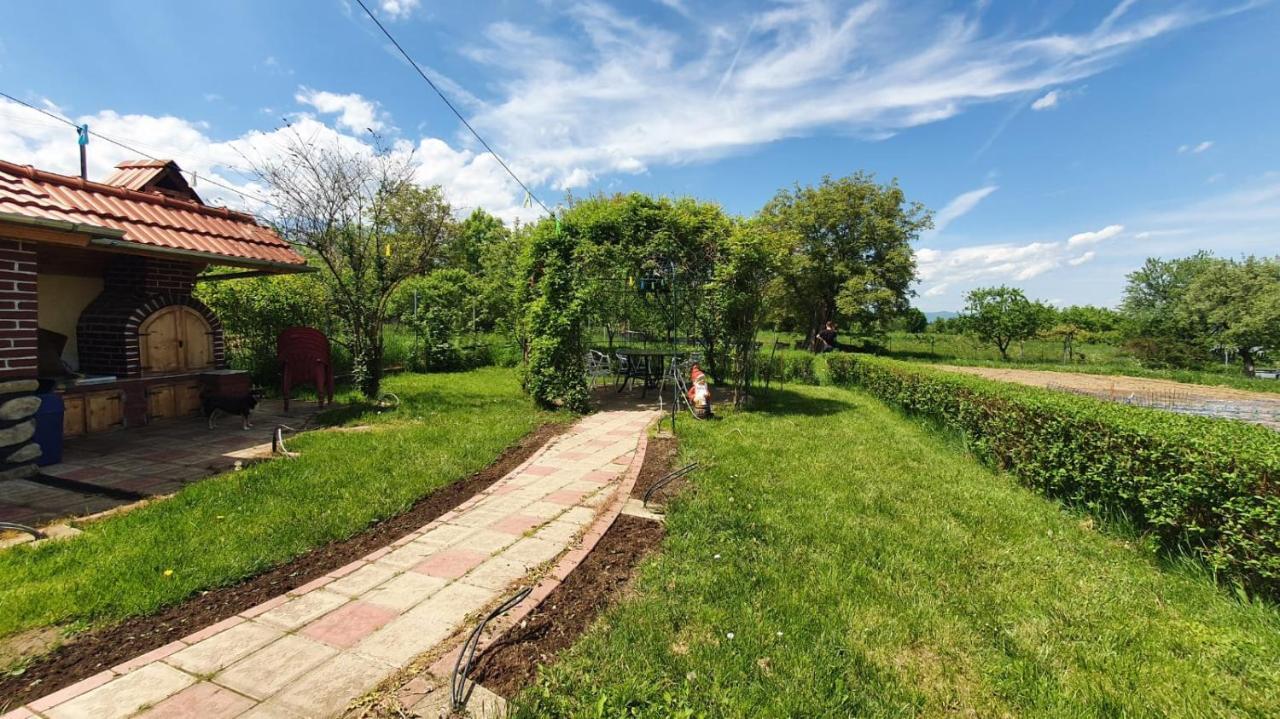 La Mosu-N Retezat Guest House Nucsoara  Bagian luar foto
