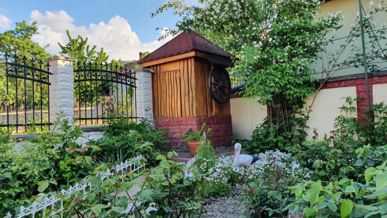La Mosu-N Retezat Guest House Nucsoara  Bagian luar foto