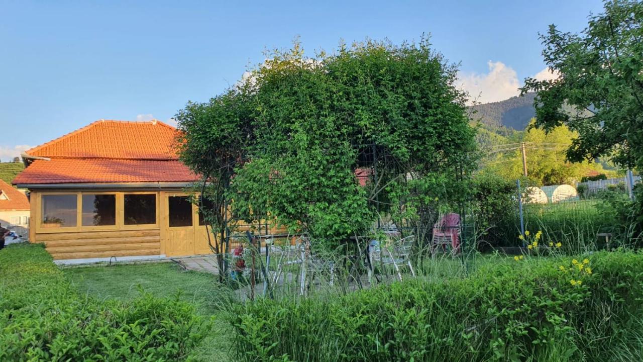 La Mosu-N Retezat Guest House Nucsoara  Bagian luar foto