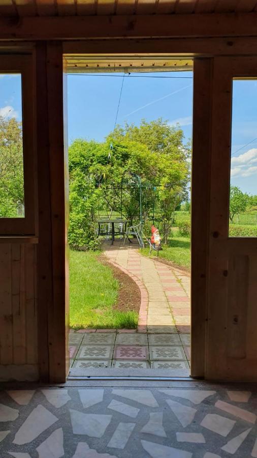 La Mosu-N Retezat Guest House Nucsoara  Bagian luar foto