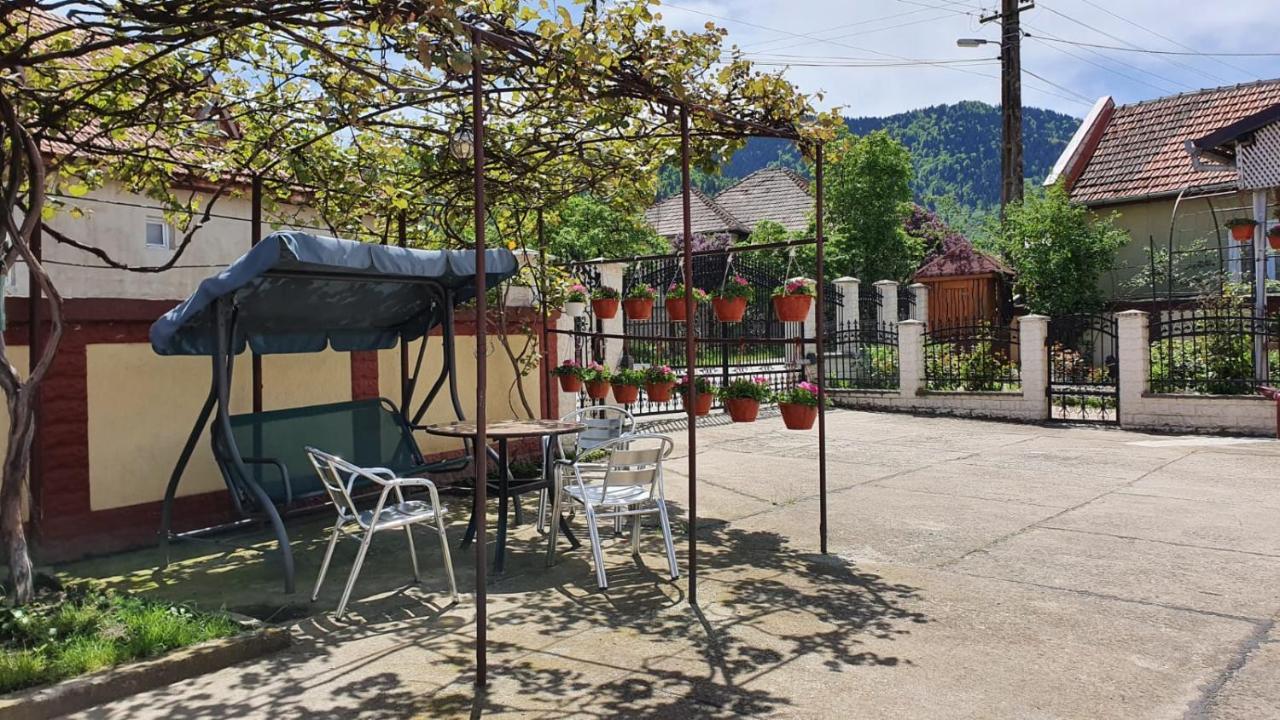 La Mosu-N Retezat Guest House Nucsoara  Bagian luar foto
