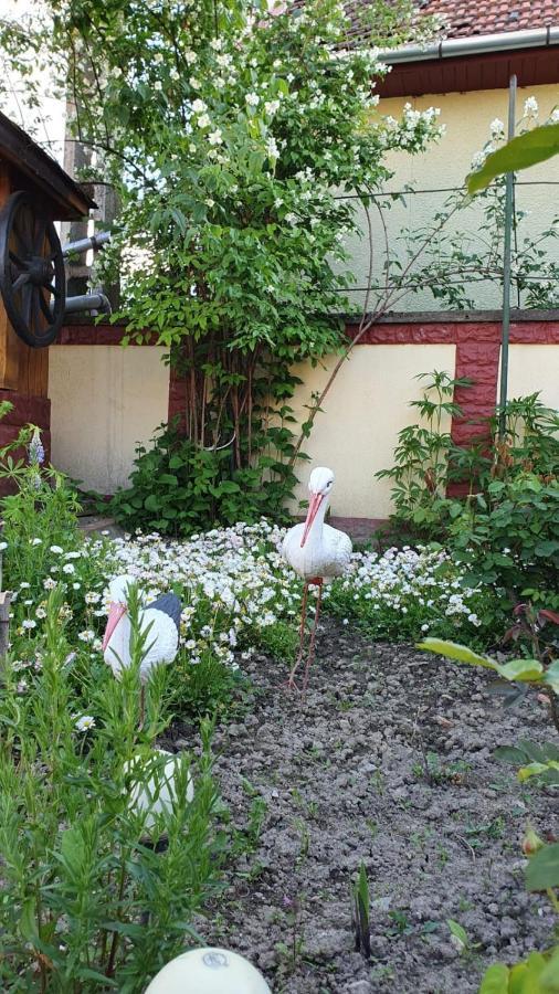 La Mosu-N Retezat Guest House Nucsoara  Bagian luar foto