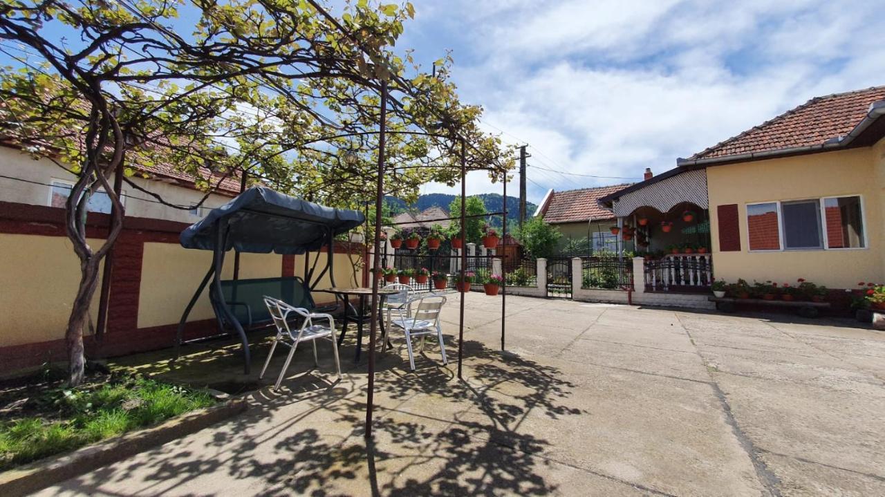La Mosu-N Retezat Guest House Nucsoara  Bagian luar foto