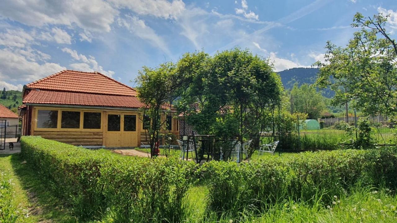 La Mosu-N Retezat Guest House Nucsoara  Bagian luar foto