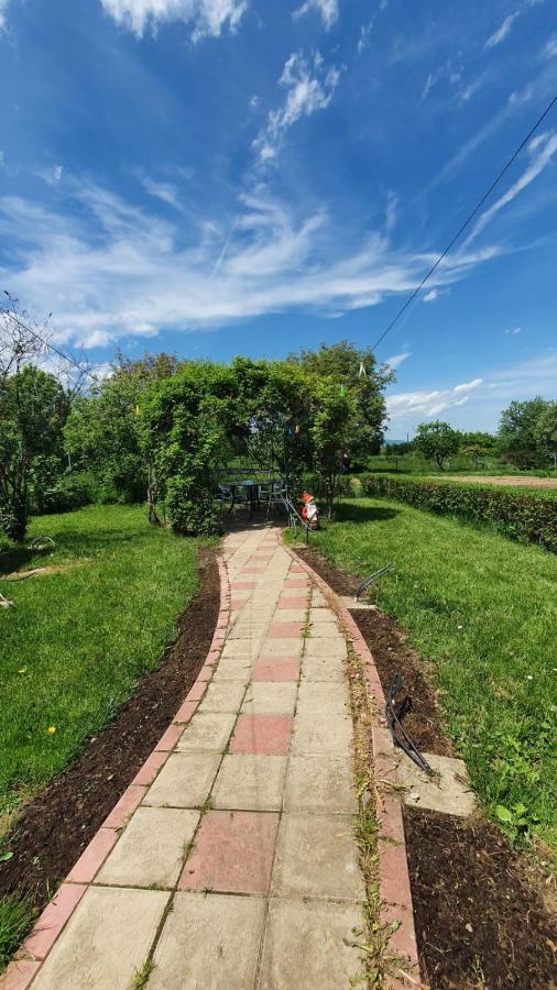 La Mosu-N Retezat Guest House Nucsoara  Bagian luar foto