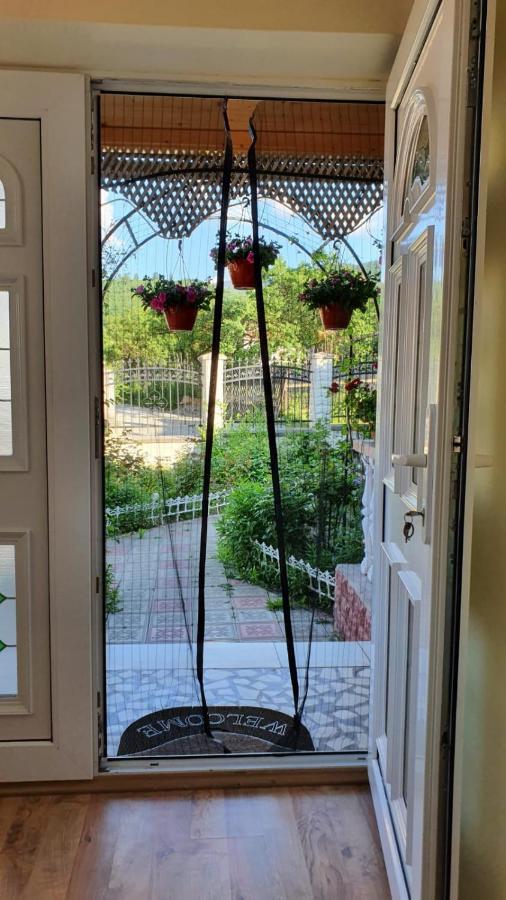 La Mosu-N Retezat Guest House Nucsoara  Bagian luar foto