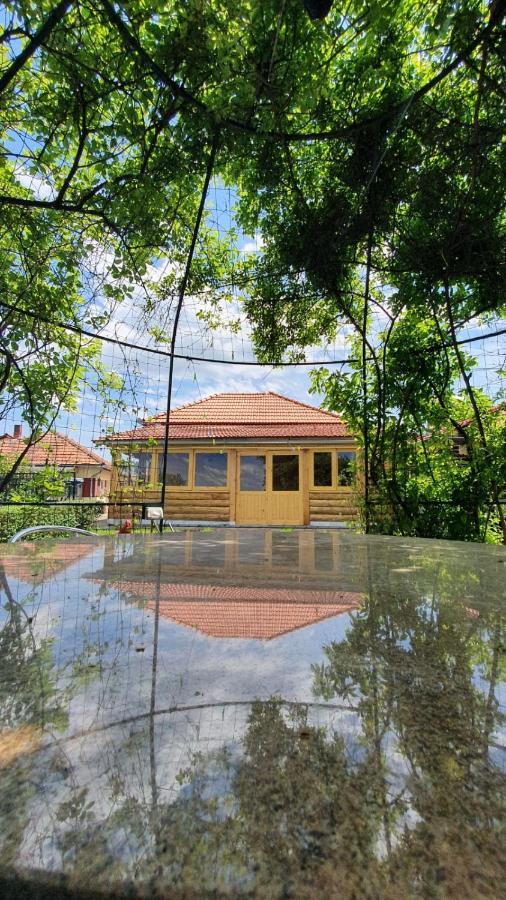 La Mosu-N Retezat Guest House Nucsoara  Bagian luar foto
