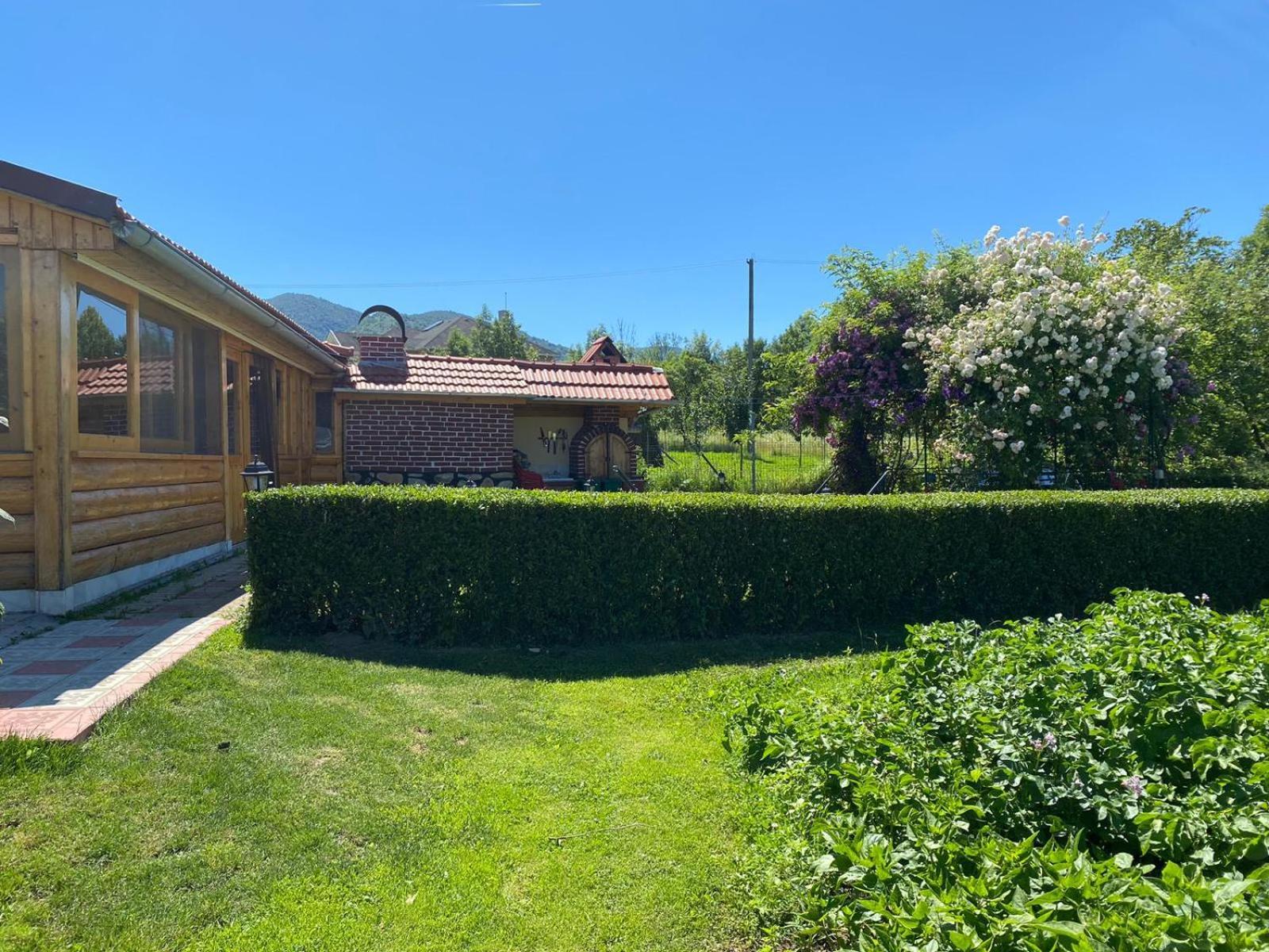 La Mosu-N Retezat Guest House Nucsoara  Bagian luar foto