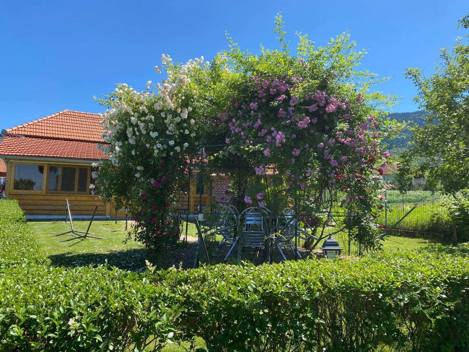 La Mosu-N Retezat Guest House Nucsoara  Bagian luar foto