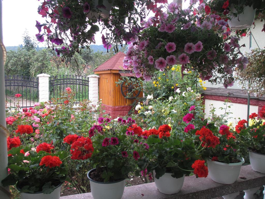 La Mosu-N Retezat Guest House Nucsoara  Bagian luar foto