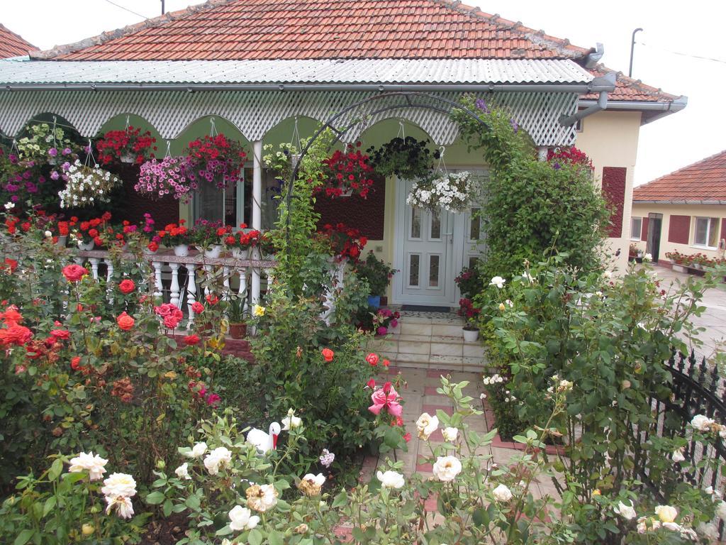 La Mosu-N Retezat Guest House Nucsoara  Bagian luar foto